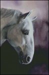 (image for) Horse Profile